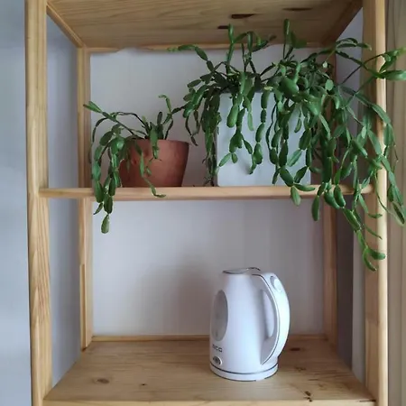 House Godec Ostanak kod kuće *